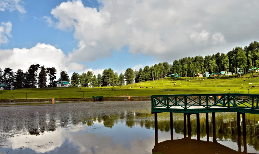 Sanasar in Jammu_4