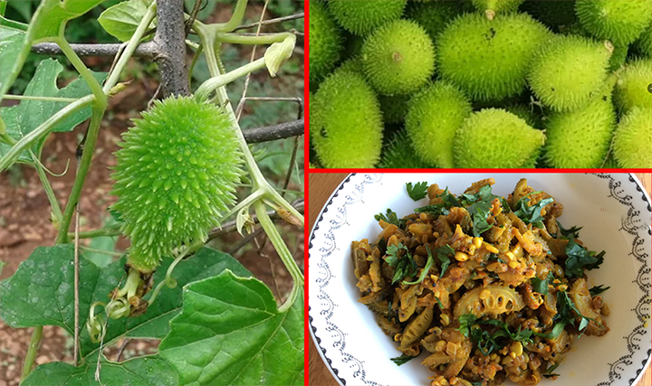 KAKODA GREEN VEGETABLE_1